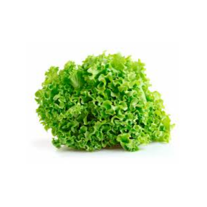 Lechuga Francesa 1/2 kg